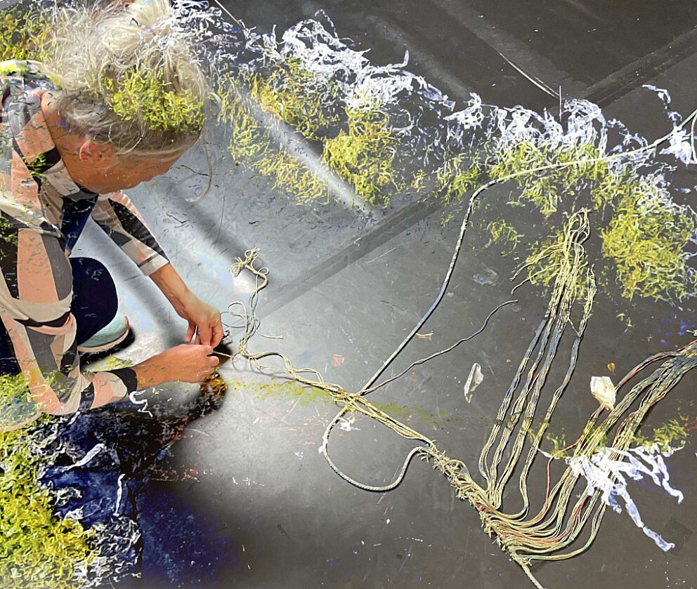 Schermafbeelding 2024 06 12 om 16 15 10